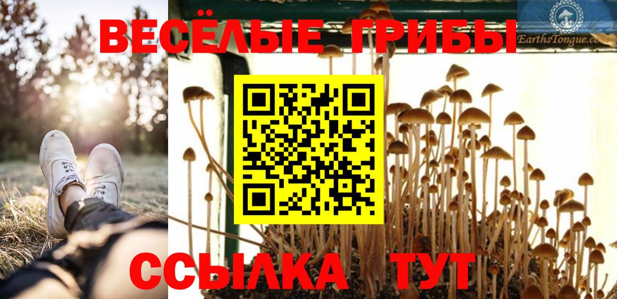 Псилоцибиновые грибы Magic Shrooms Чусовой